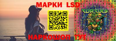 МДПВ Бийск