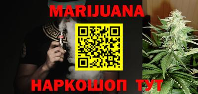 МДПВ Бийск