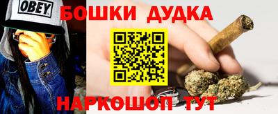 МДПВ Бийск