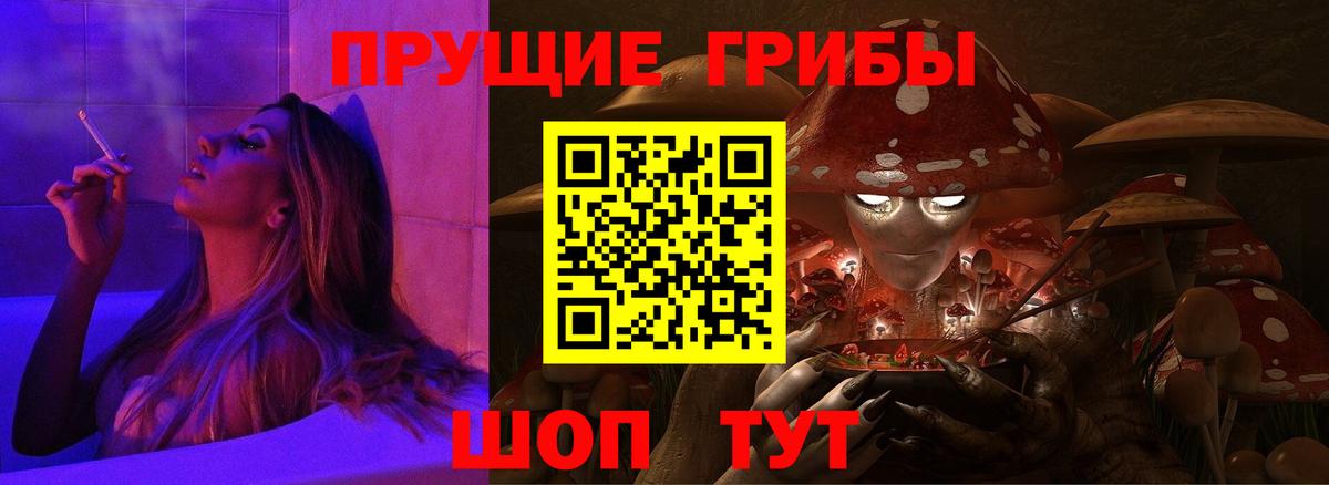 Псилоцибиновые грибы Psilocybe  Вход с VPN  Бугульма  Псилоцибиновые грибы мицелий 